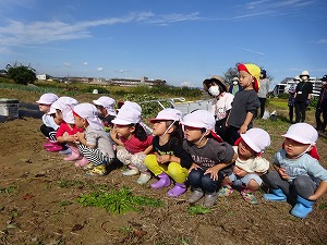 s-300DSC05802
