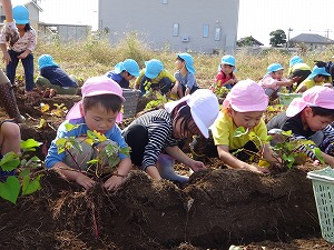 s-300DSC05848