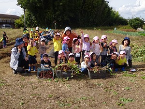 s-300DSC05881