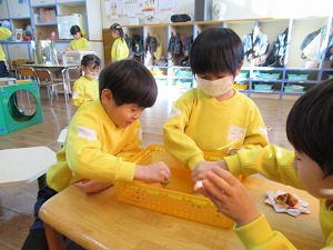 IMG_0222 IMG_0222