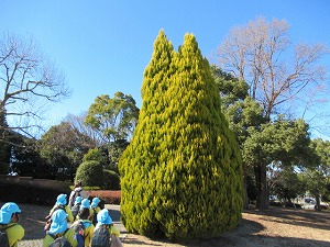IMG_0426 IMG_0426