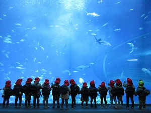 IMG_0054 IMG_0054