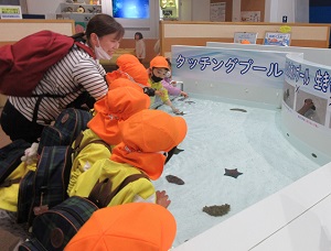 IMG_0373 IMG_0373