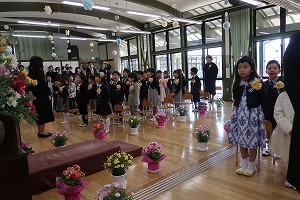 IMG_0415 IMG_0415