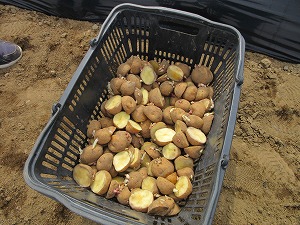 IMG_0425 IMG_0425