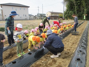 IMG_0429 IMG_0429