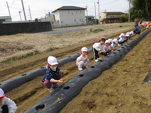 IMG_0434 IMG_0434