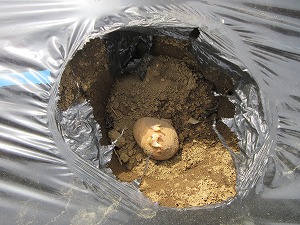 IMG_0435 IMG_0435