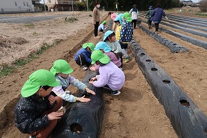 IMG_0493 IMG_0493
