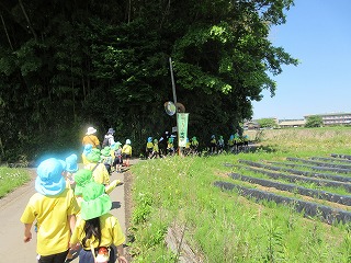 IMG_0107 IMG_0107