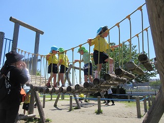 IMG_0213 IMG_0213