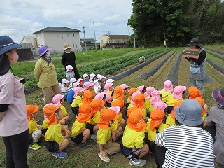 IMG_0039
