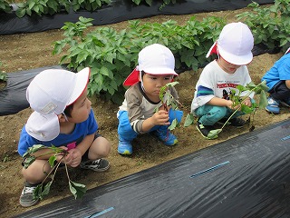 IMG_0043 IMG_0043
