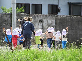 IMG_0068 IMG_0068