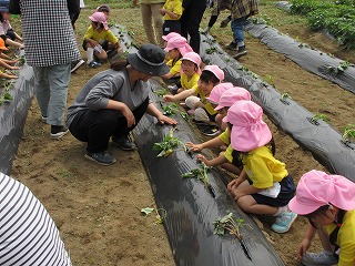 IMG_0071 IMG_0071