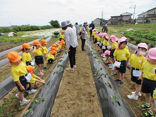 IMG_0073 IMG_0073