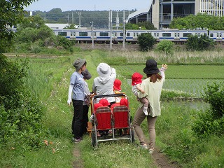 IMG_0081 IMG_0081