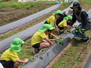 IMG_0110 IMG_0110