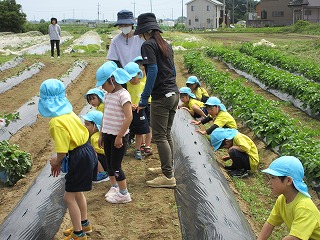 IMG_0104 IMG_0104