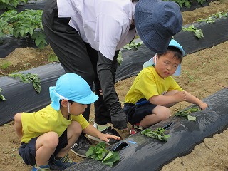 IMG_0118 IMG_0118