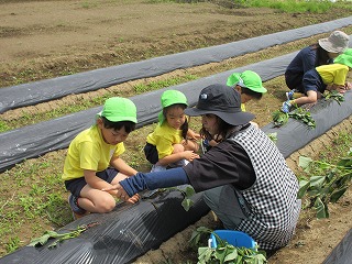 IMG_0112 IMG_0112
