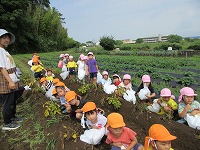 IMG_0034 IMG_0034