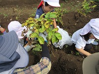 IMG_0031 IMG_0031