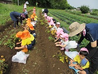 IMG_0035 IMG_0035