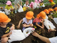 IMG_0040 IMG_0040
