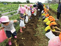 IMG_0045 IMG_0045