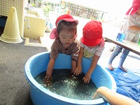 IMG_0024 IMG_0024