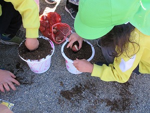 IMG_0121 IMG_0121