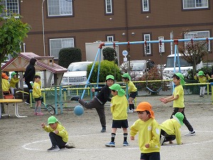 IMG_0100 IMG_0100