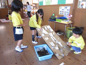 IMG_0135 IMG_0135