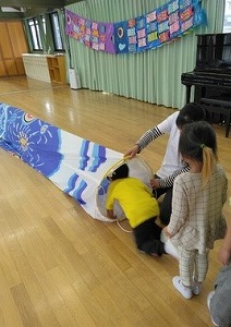 こいのぼりくぐり こいのぼりくぐり