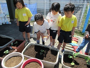 IMG_0114 IMG_0114