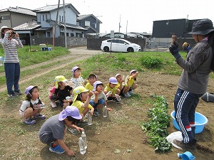 IMG_0069 IMG_0069