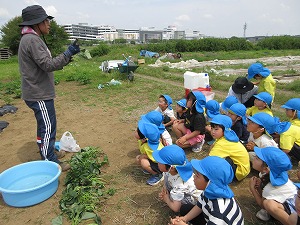 IMG_0075 IMG_0075