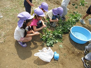 IMG_0071 IMG_0071