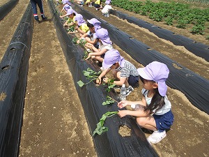 IMG_0057