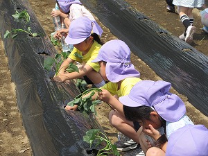 IMG_0058 IMG_0058