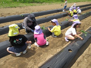 IMG_0072 IMG_0072