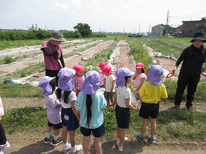 IMG_0062 IMG_0062