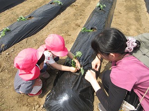 IMG_0067 IMG_0067