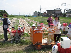 IMG_0061 IMG_0061