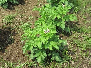 IMG_0053 IMG_0053