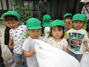 IMG_0306(1) IMG_0306(1)