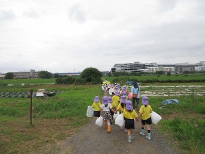 IMG_0313(1) IMG_0313(1)