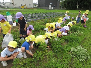 IMG_0318(1) IMG_0318(1)