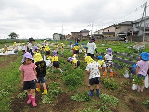 IMG_0321(1) IMG_0321(1)
